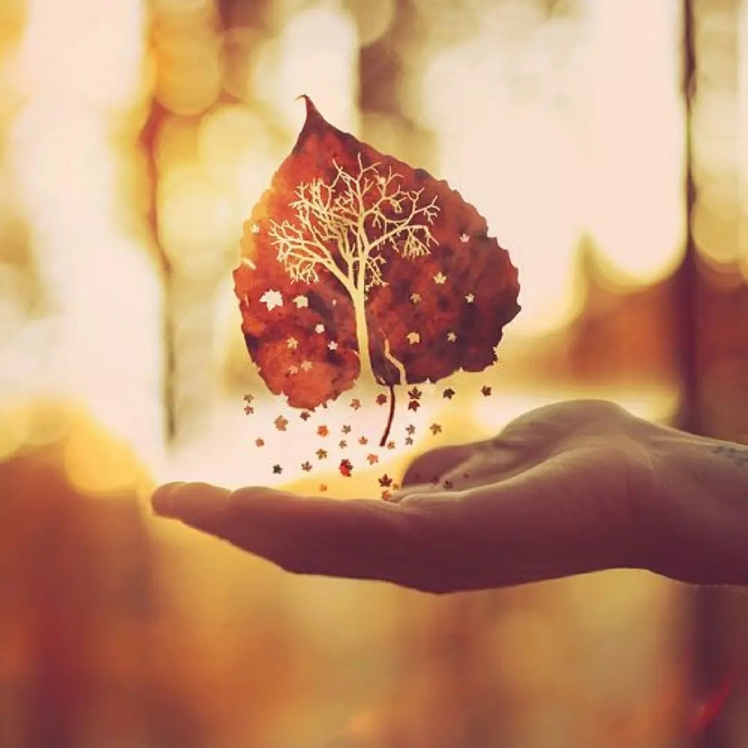 Осень дарит вдохновение. Осень счастье. Осенний лист на ладони. Осень душевное тепло. Осеннее настроение.