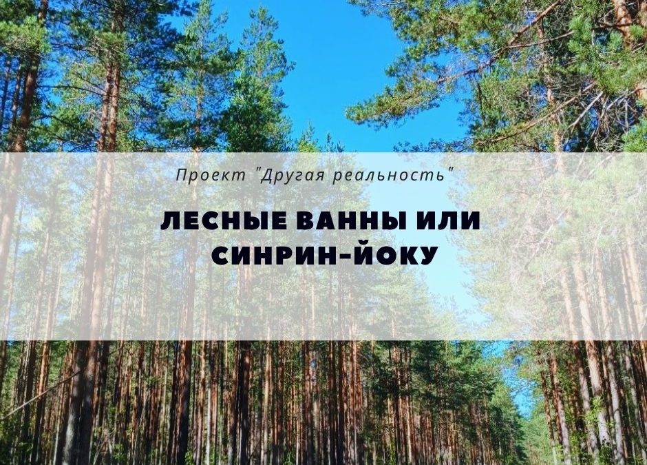 Лесные ванны или искусство Синрин-йоку Прогулки по лесу и саморегуляция